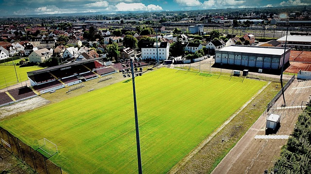 法逐渐呈现 法逐渐呈现