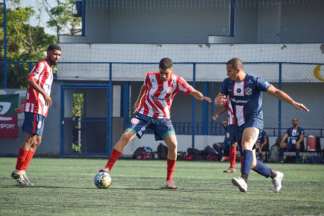 尽管阿莱格 尽管阿莱格