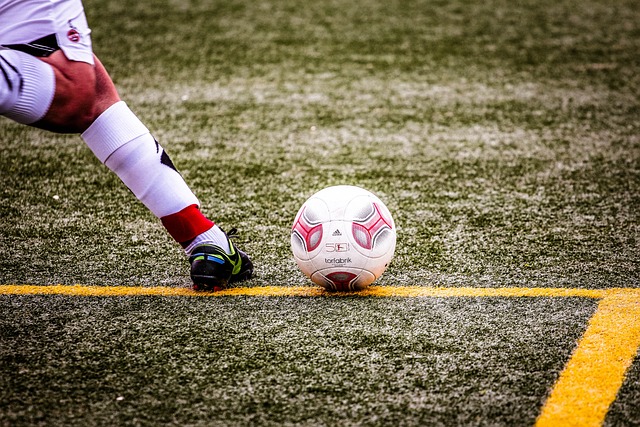 利奠定了基 利奠定了基